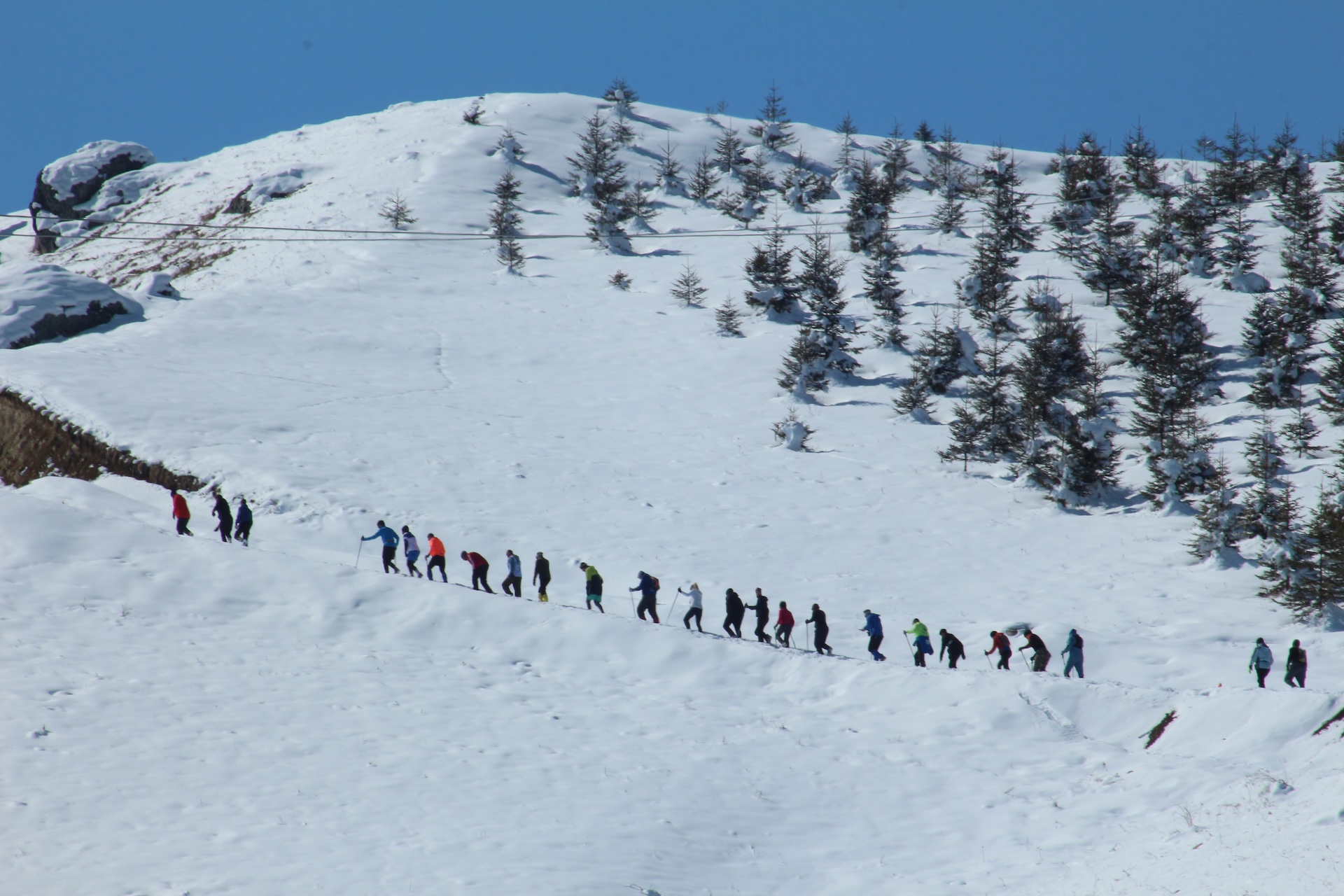 Snowflake trail